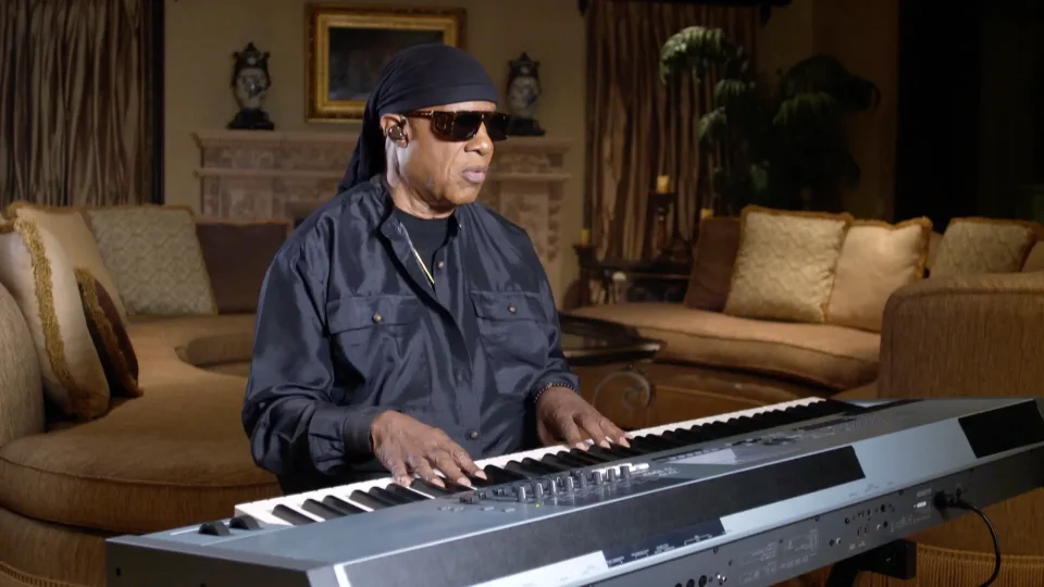 Stevie Wonder