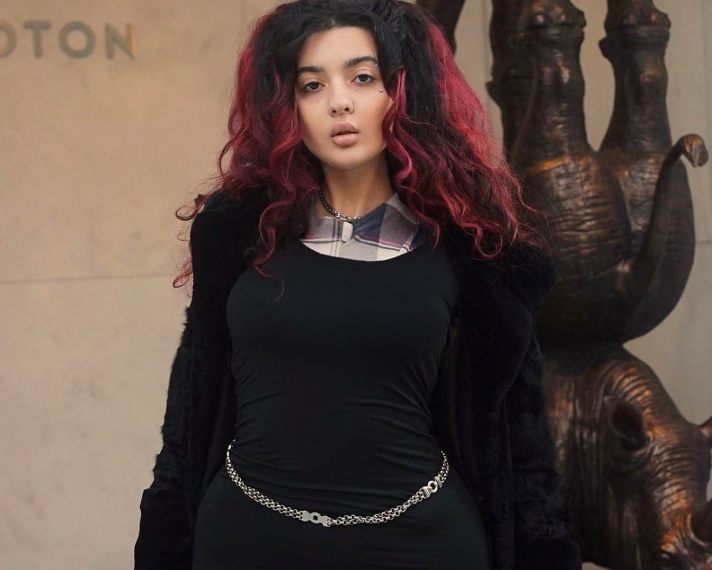 Dounia-grey-goose